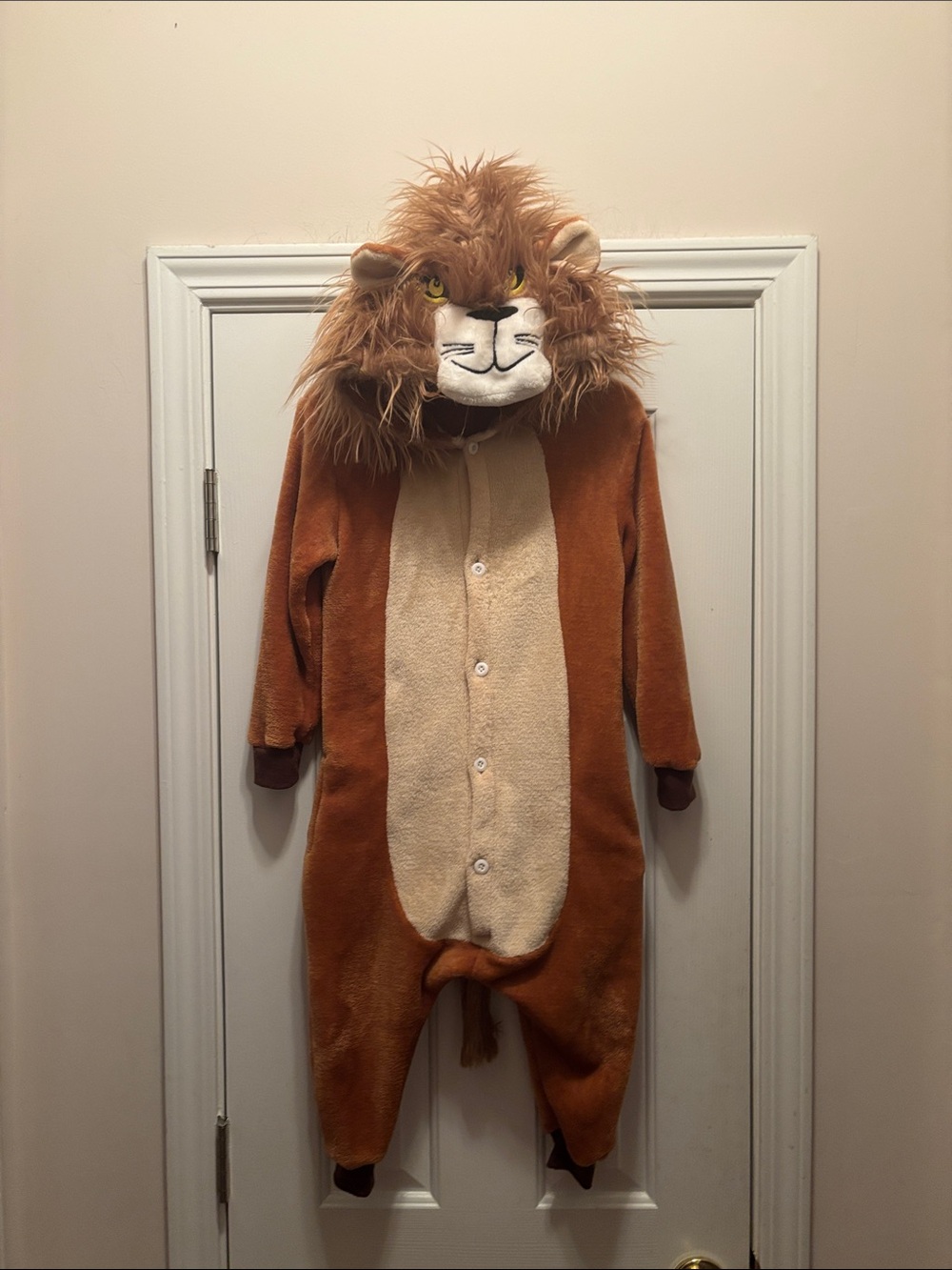 Lion Costume